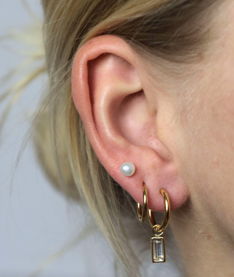 Kreolen Capetown Color